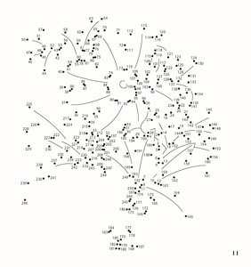 Kew Gardens Large Print Dot to Dot | Baker &amp; Taylor