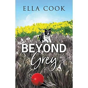 Beyond Grey Baker & Taylor