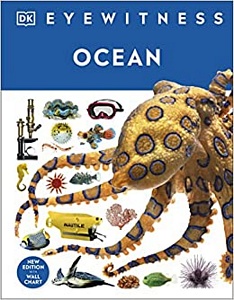 Ocean