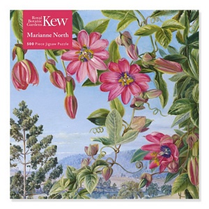 Adult Jigsaw Puzzle Kew: Honey Flower