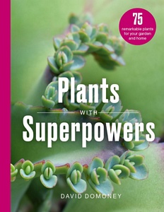 Plants with Superpower