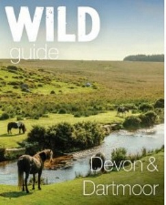 Wild Guide Devon Dartmoore